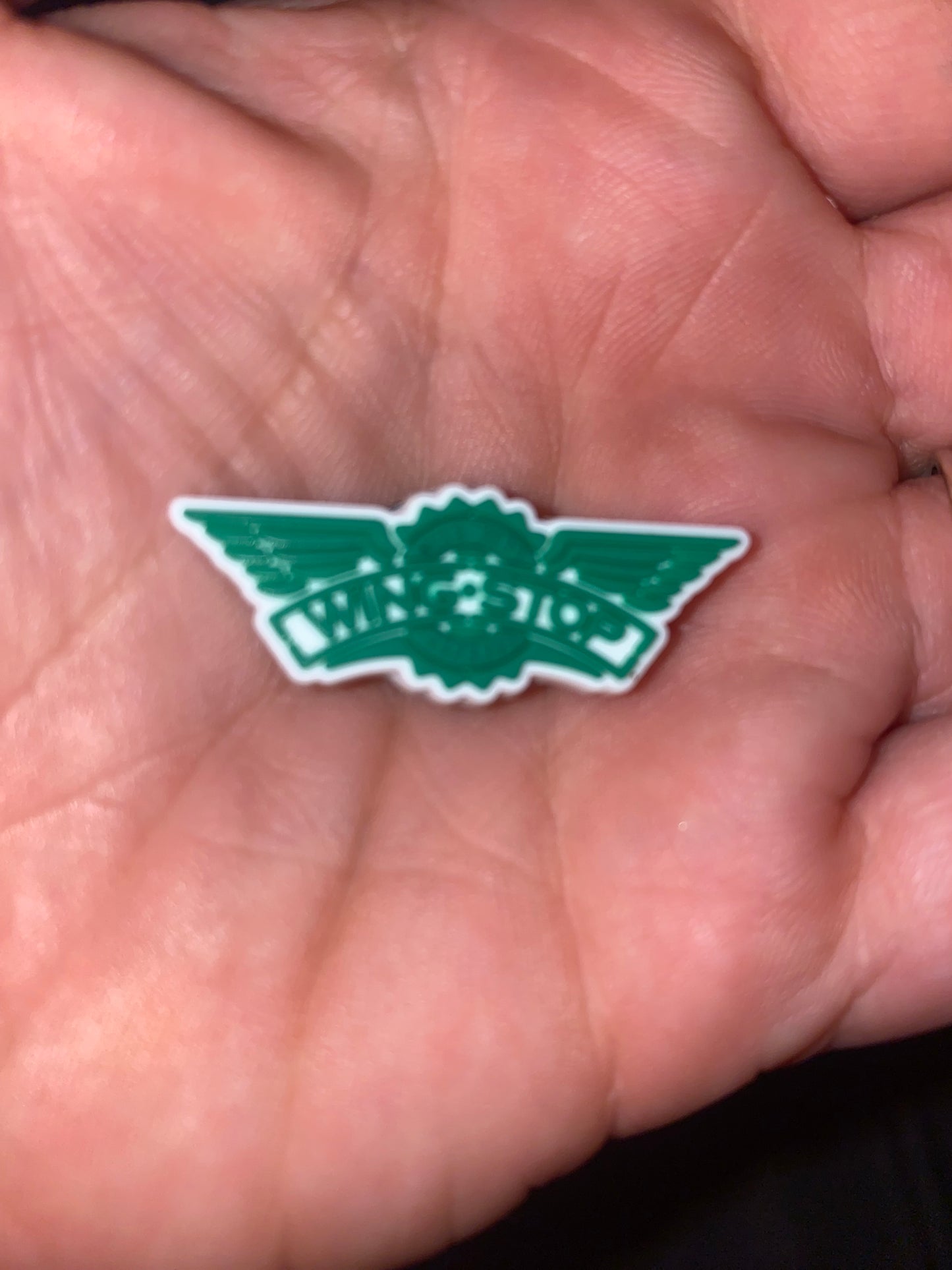 Chicken Wings stop shop shoe charm